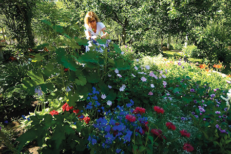 Gerda in the garden